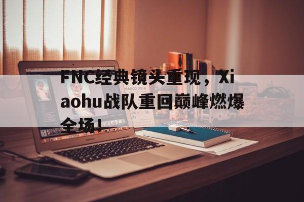 九游网页版登录入口-FNC经典镜头重现，Xiaohu战队重回巅峰燃爆全场！