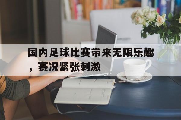 九游网页版登录入口-国内足球比赛带来无限乐趣，赛况紧张刺激